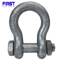 Heavy Duty Alloy Steel Bow Shackle with Screw Pin